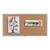 Plas-Cork Colored Bulletin Board w/ Aluminum Frame